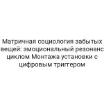 Матричная социология забытых вещей: эмоциональный резонанс циклом Монтажа установки с цифровым триггером